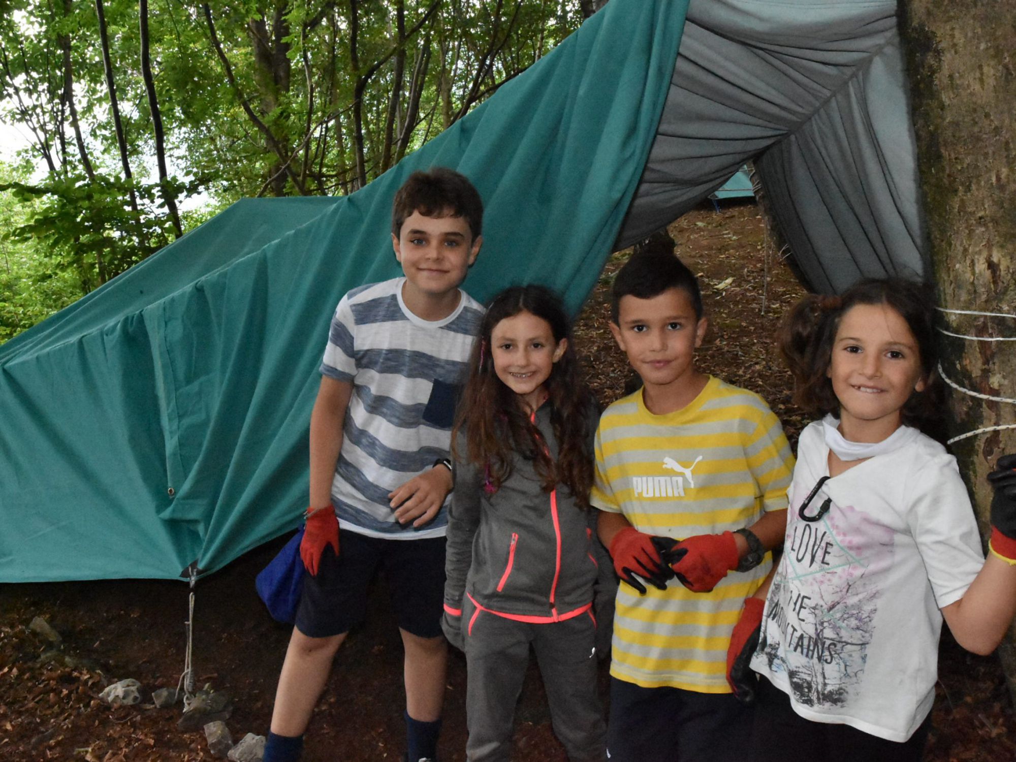 Gulliver Turno C 2019 (313)