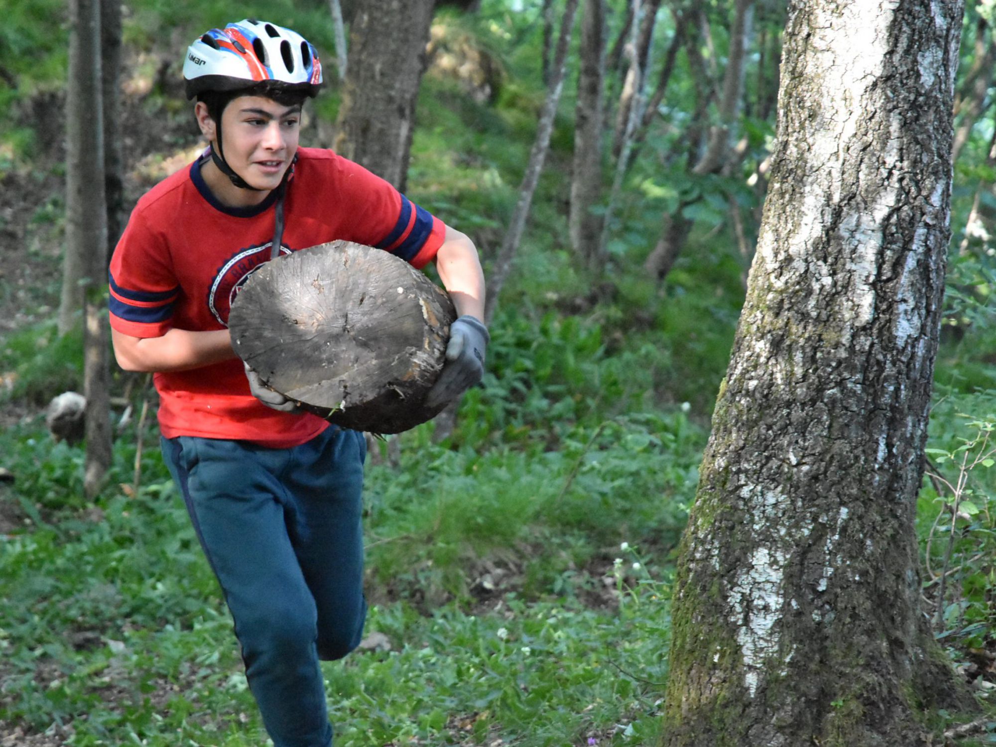Gulliver Turno C 2019 (433)