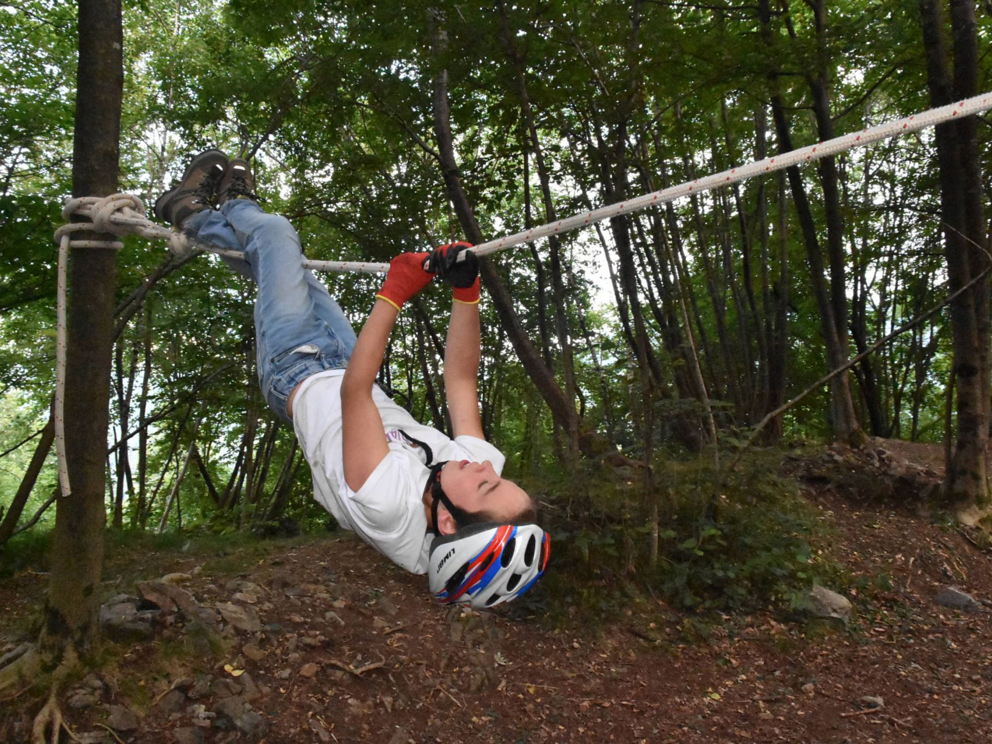 Gulliver Turno C 2019 (494)
