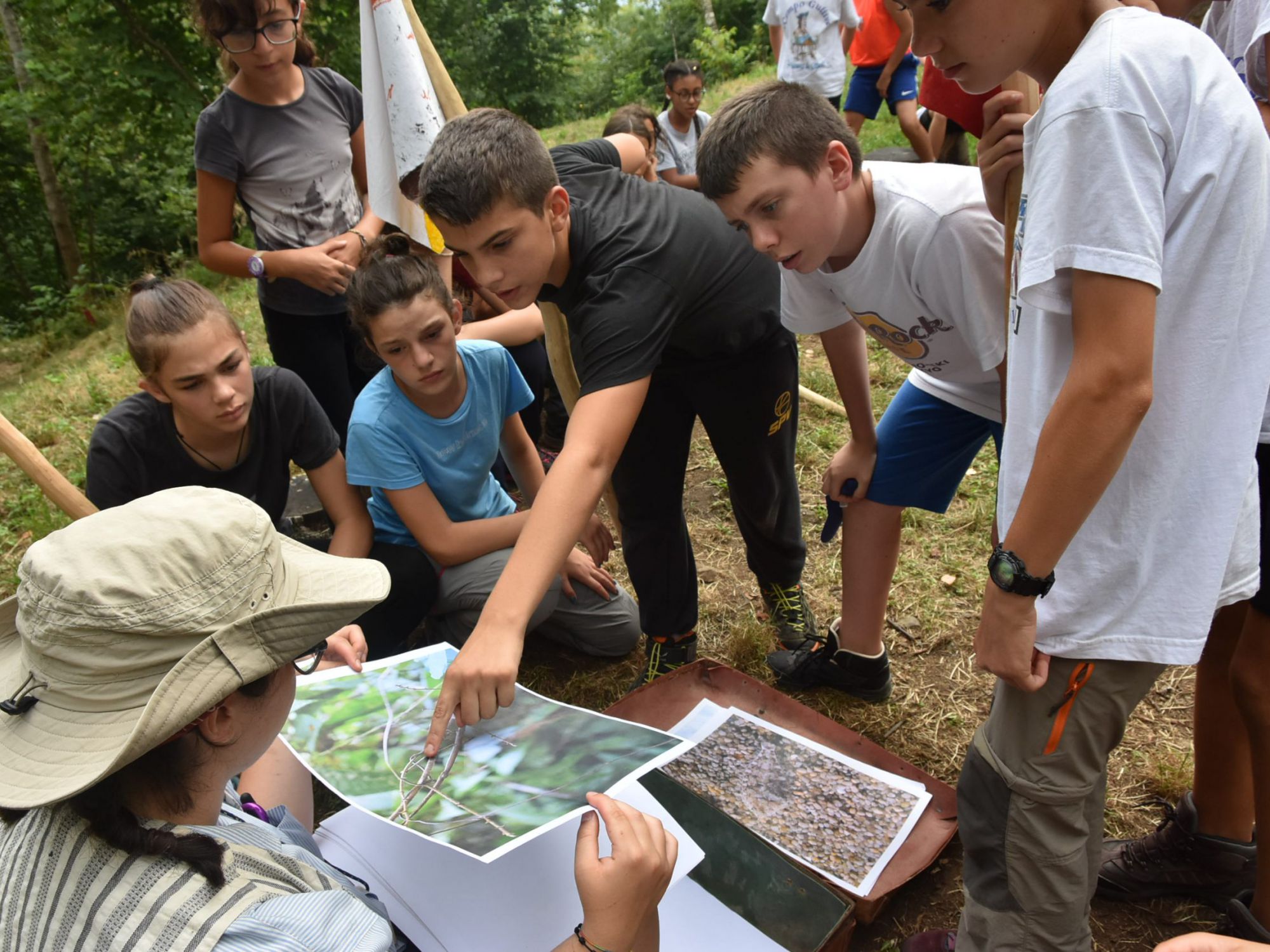 Gulliver Turno D 2019 (126)