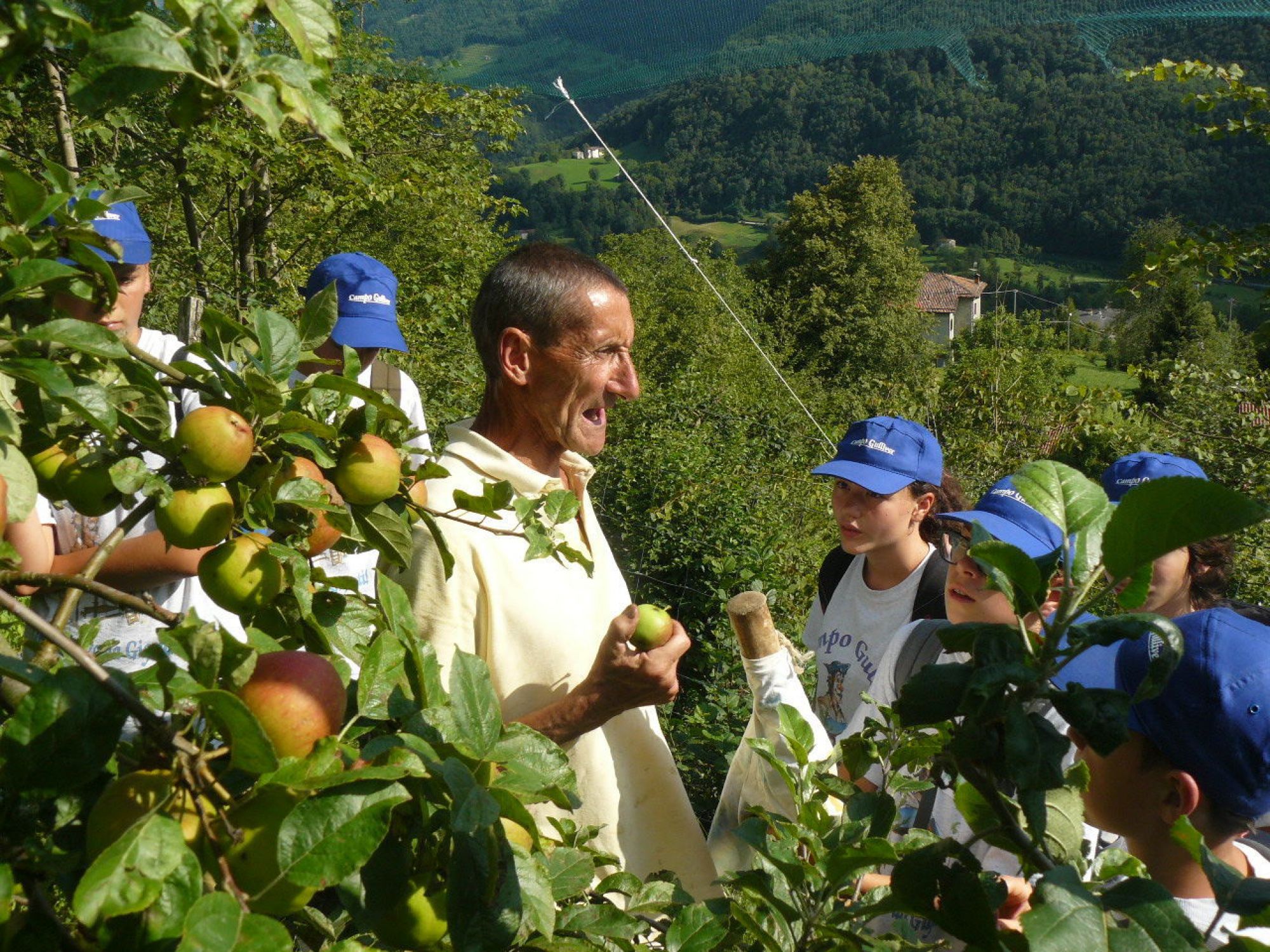 Turno E 2019 (586) CD