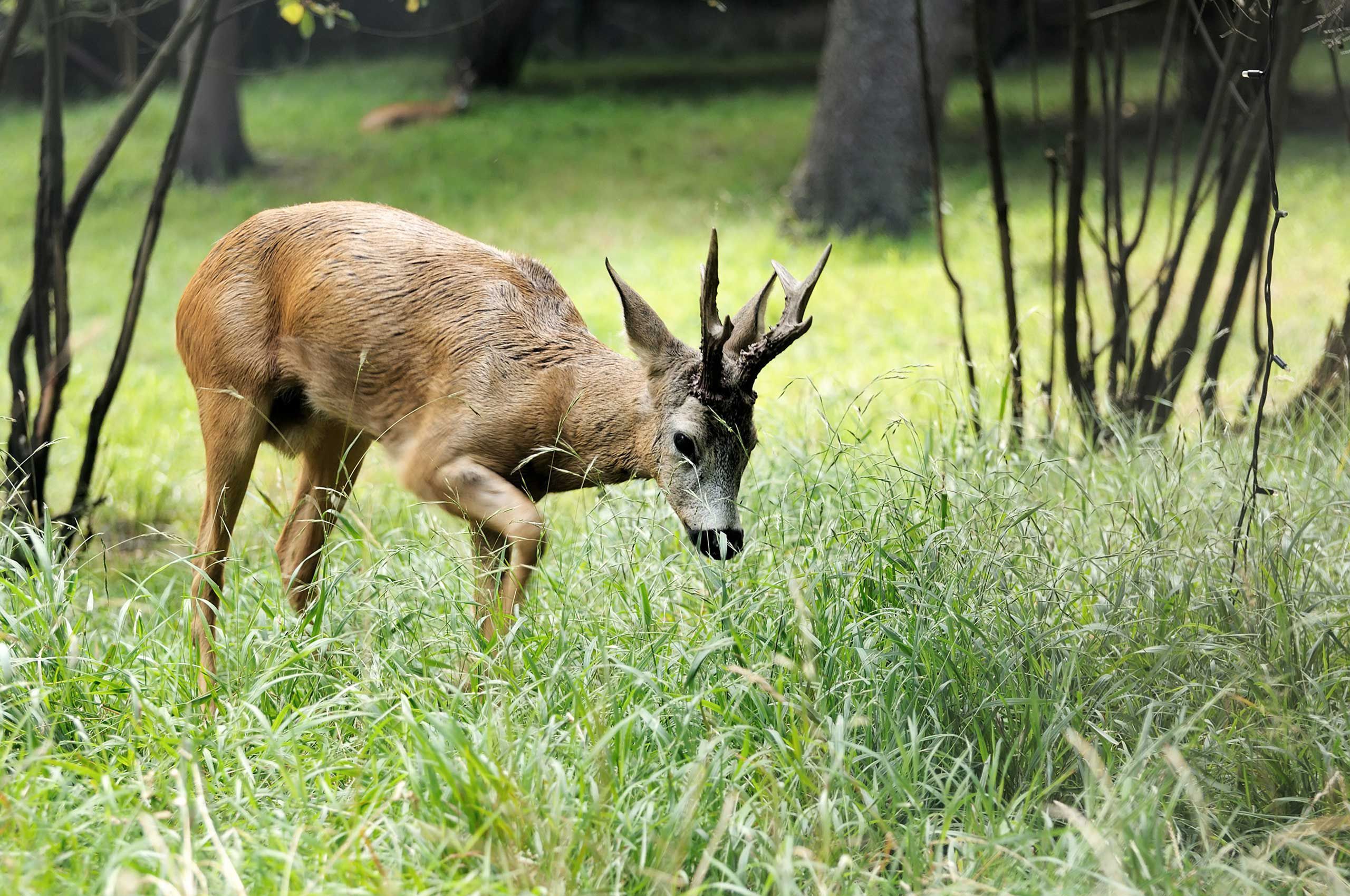 Campi e vacanze per bambini e ragazzi nella natura